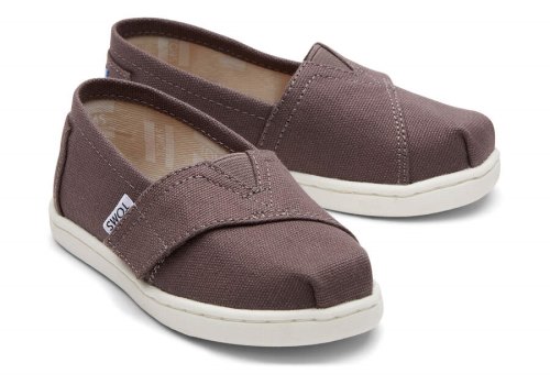 Toms Ash Tiny Alpargata Canvas Kids' Alpargatas | UAE977-722