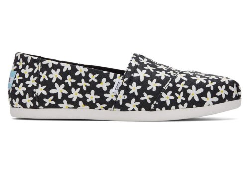 Toms Black Sun Daisies Alpargata Sun Daises Women's Alpargatas | UAE355-193