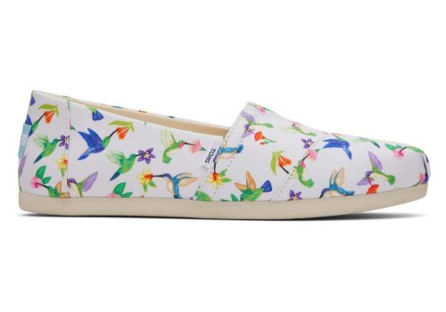 Toms Cloud Grey Hummingbirds Alpargata Hummingbirds Women's Alpargatas | UAE298-883