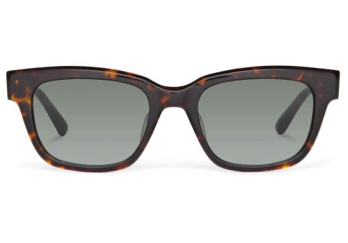 Toms Dark Tortoise-green Grey Holland Men's Sunglasses | UAE823-491