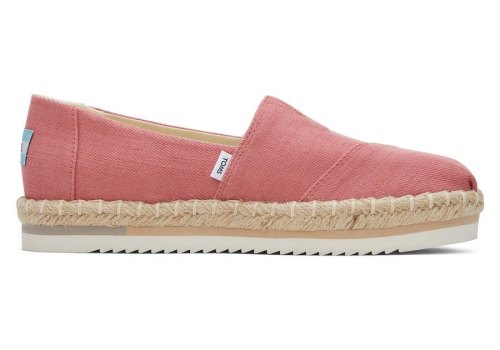 Toms Faded Rose Alpargata Rope Platform Women's Espadrilles | UAE708-819