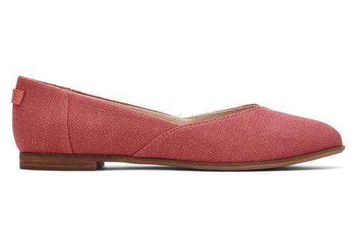 Toms Faded Rose Jutti Neat Flat Women's Flat Shoes | UAE223-788