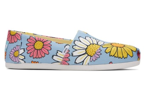 Toms Pastel Blue Daisies Alpargata Daisies Women's Alpargatas | UAE599-059