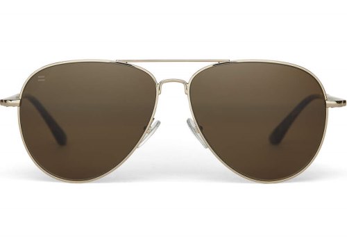 Toms Shiny Gold - Solid Brown Poplar Hudson Women's Sunglasses | UAE037-310