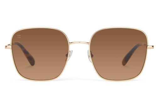 Toms Shiny Yellow Gold- Solid Brown Nova Women's Sunglasses | UAE685-683